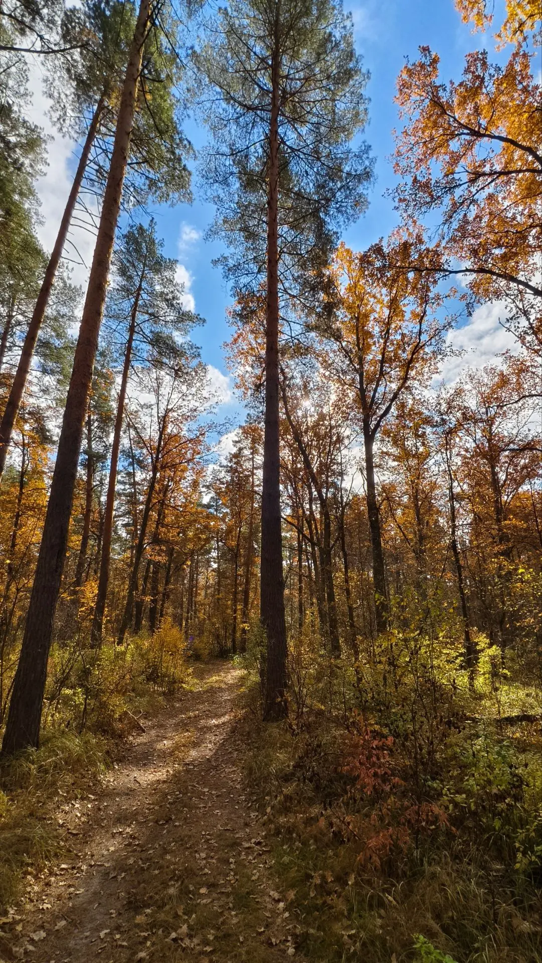 💫Хорошего вечера