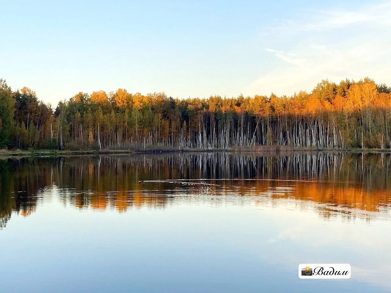 Доброе утро, Колтуши! 😎Хорошего дня! 🍁