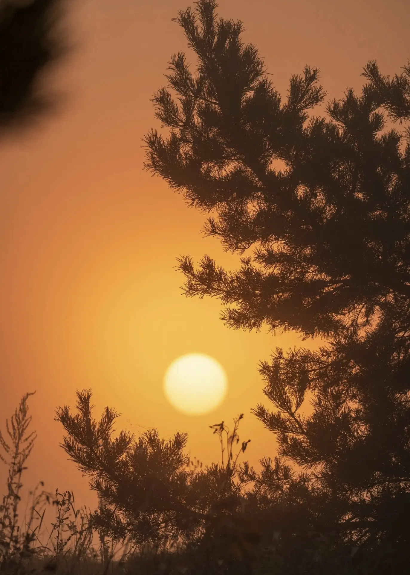 Чудесный рассвет 🧡