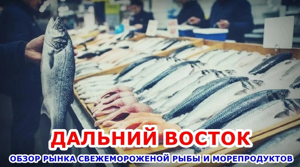 🐟 Дальний Восток: Обзор рынка свежемороженой рыбы и морепродуктов по состоянию на 14 о...