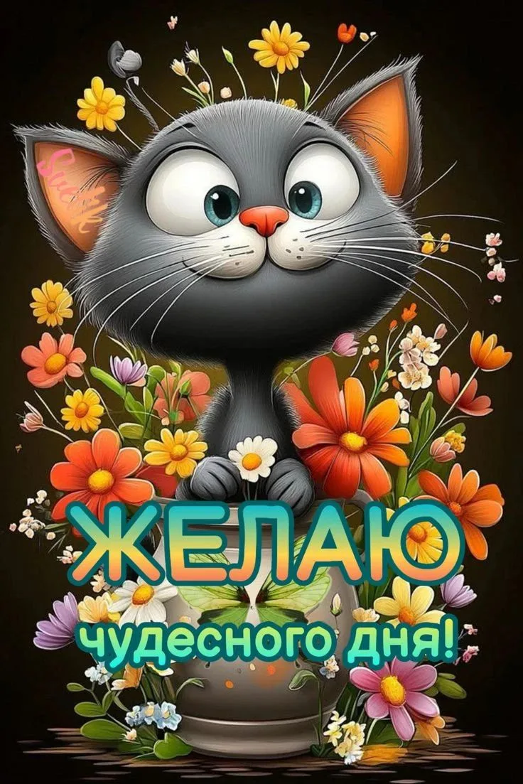 #обои #обои_для_девушек