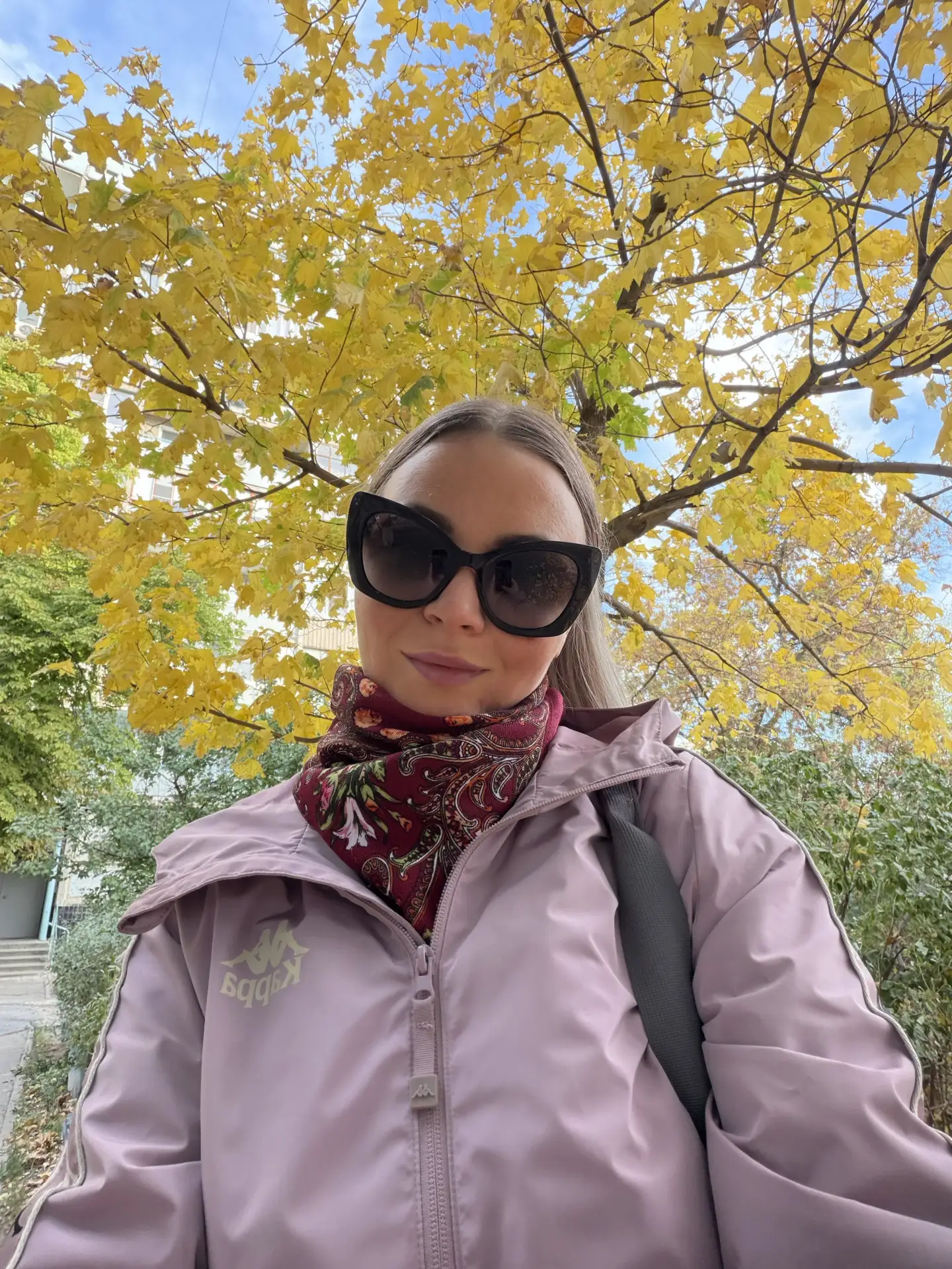 Люблю наш Волгоград за яркую осень  🍁♥️