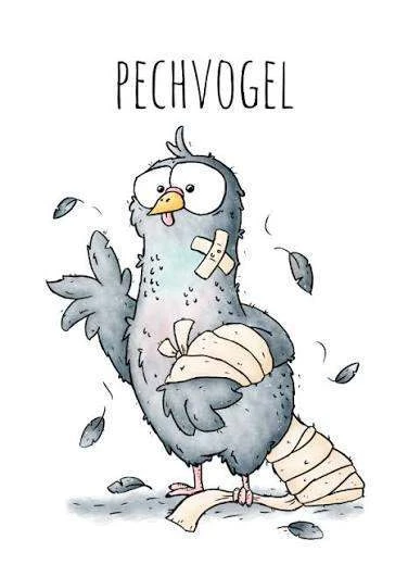 Всё про слово Pech — и почему Pechvogel не птица🐦