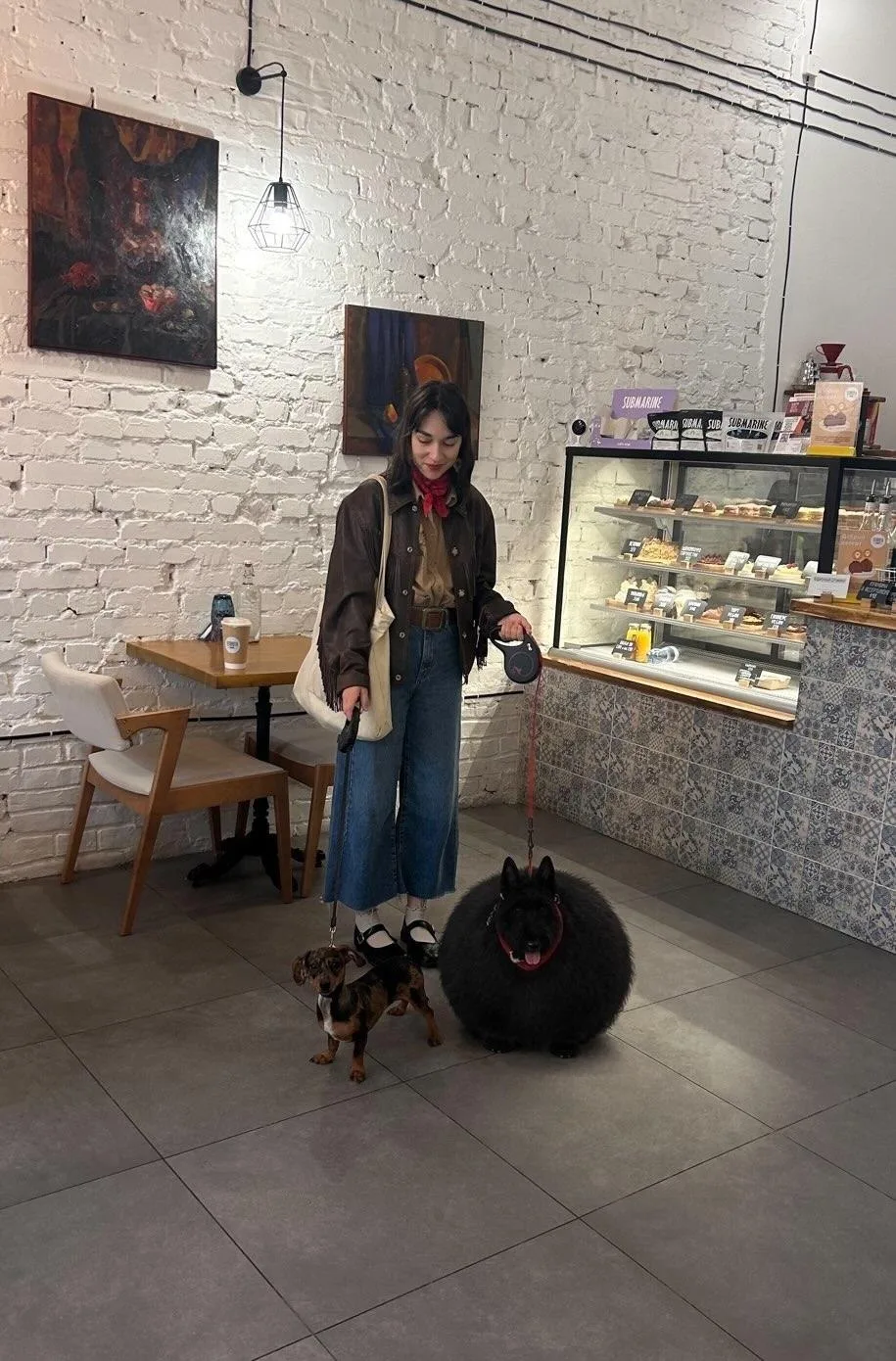 🐕🍔 В сети завирусилось фото аномально широкого скотчтерьера