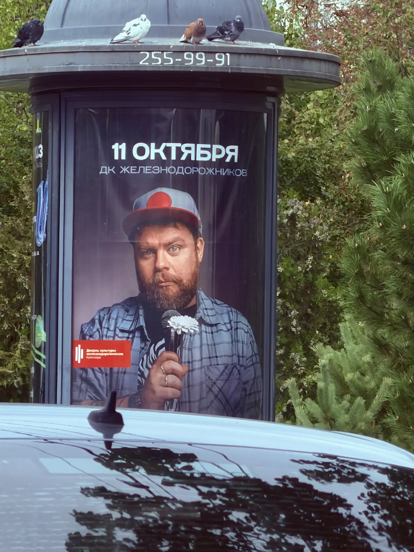 Сегодня идем на Андрея Атласа😎 Голуби сверху как произведение искусства