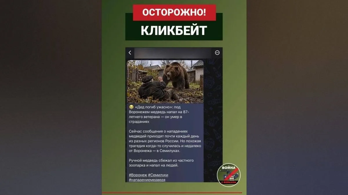 🐻 В Воронежской области старую историю о нападении медведя выдают за свежую новость.