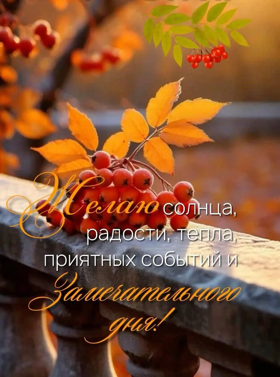 #ЗамечательногоДня