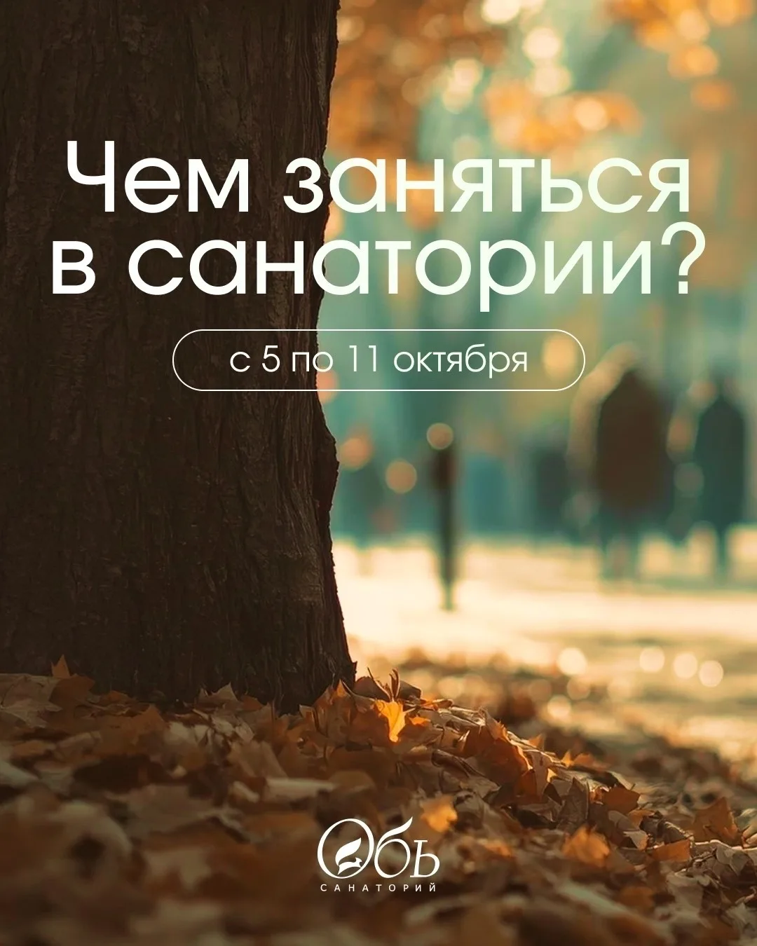 Чем заняться на этой неделе? В санатории «Обь» скучать не придётся: релакс, творчество,...