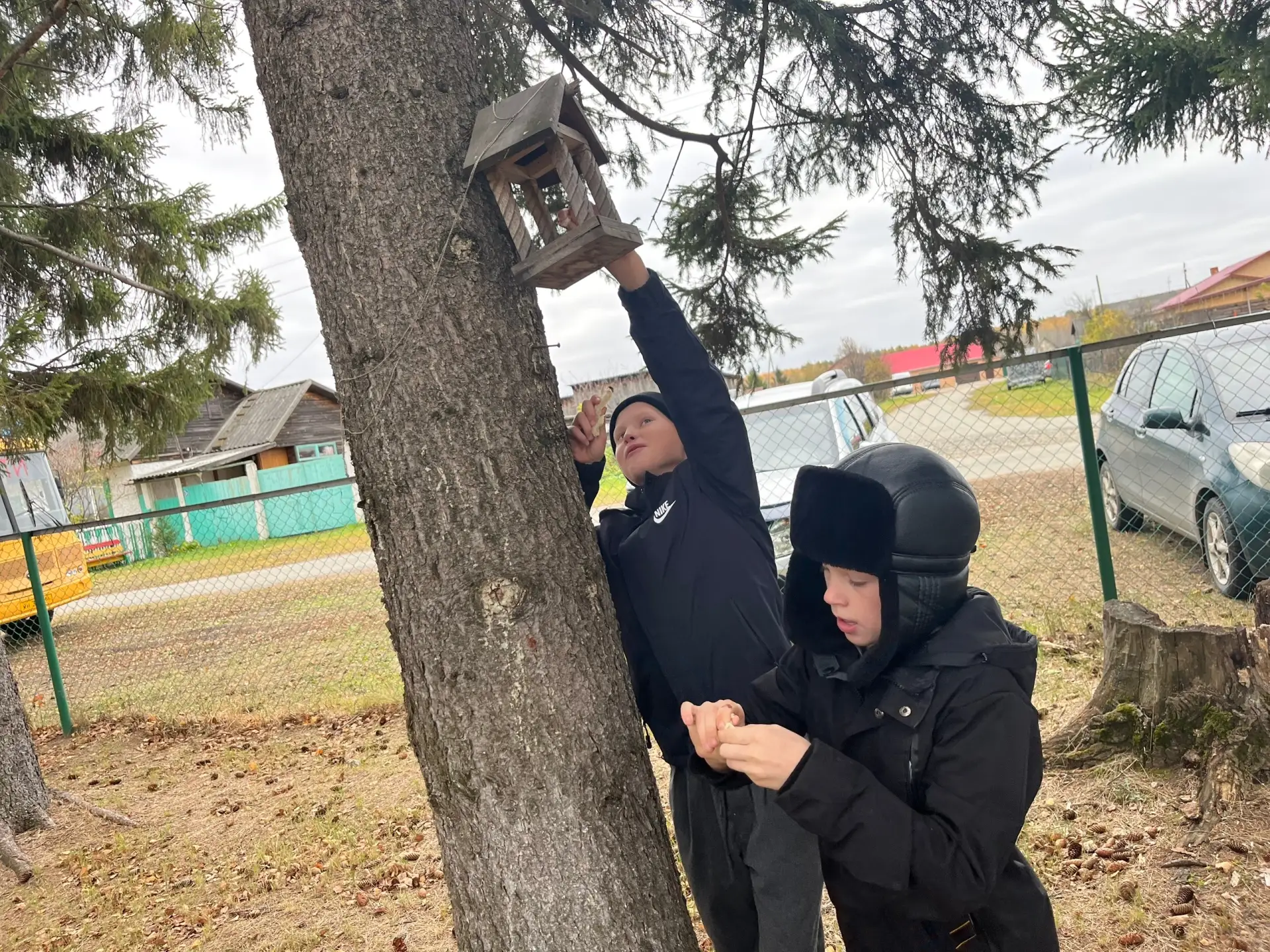 🐦 Забота о пернатых друзьях!
