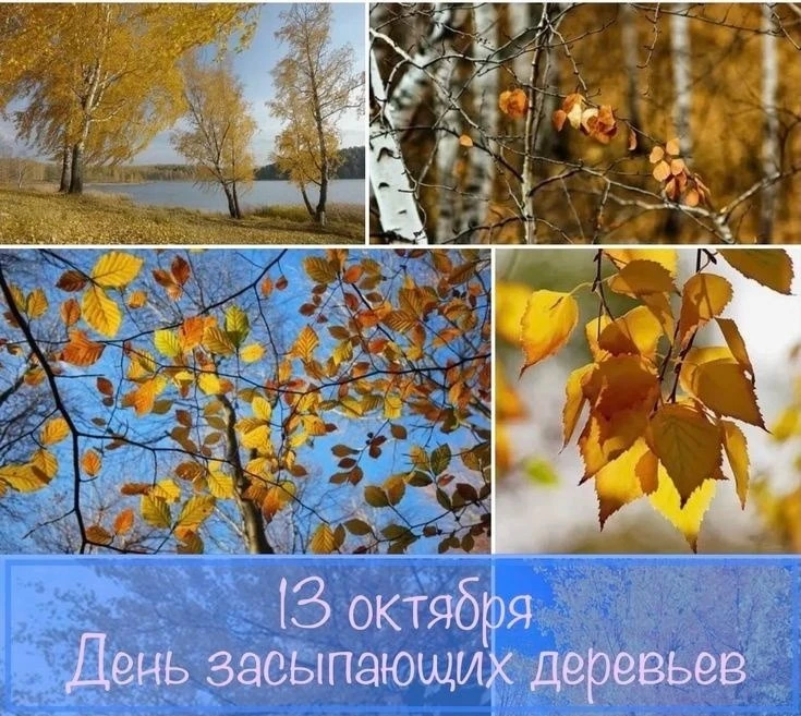 🎉 #праздник