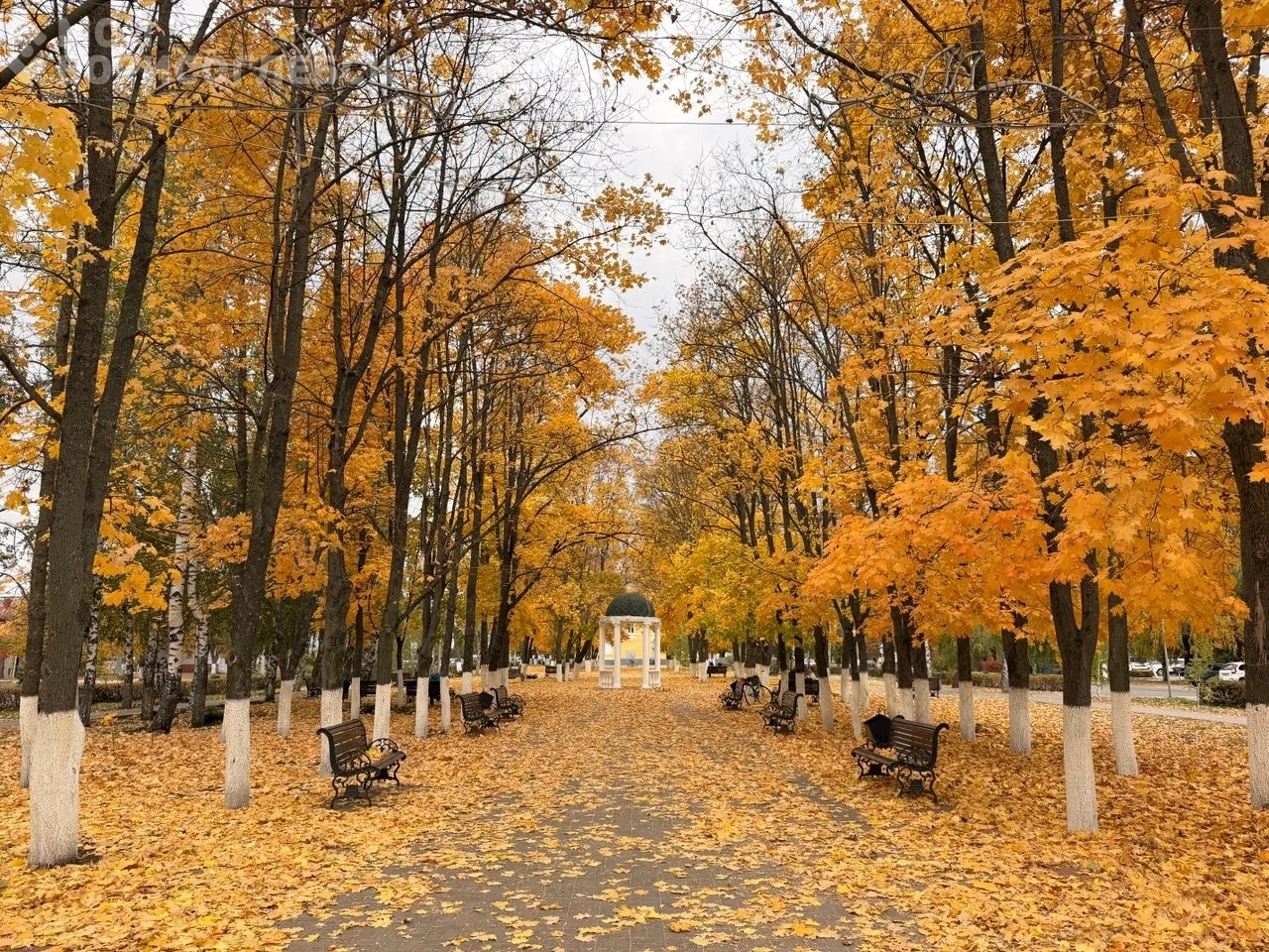 Доброе утро! Сегодня четверг, 15 октября