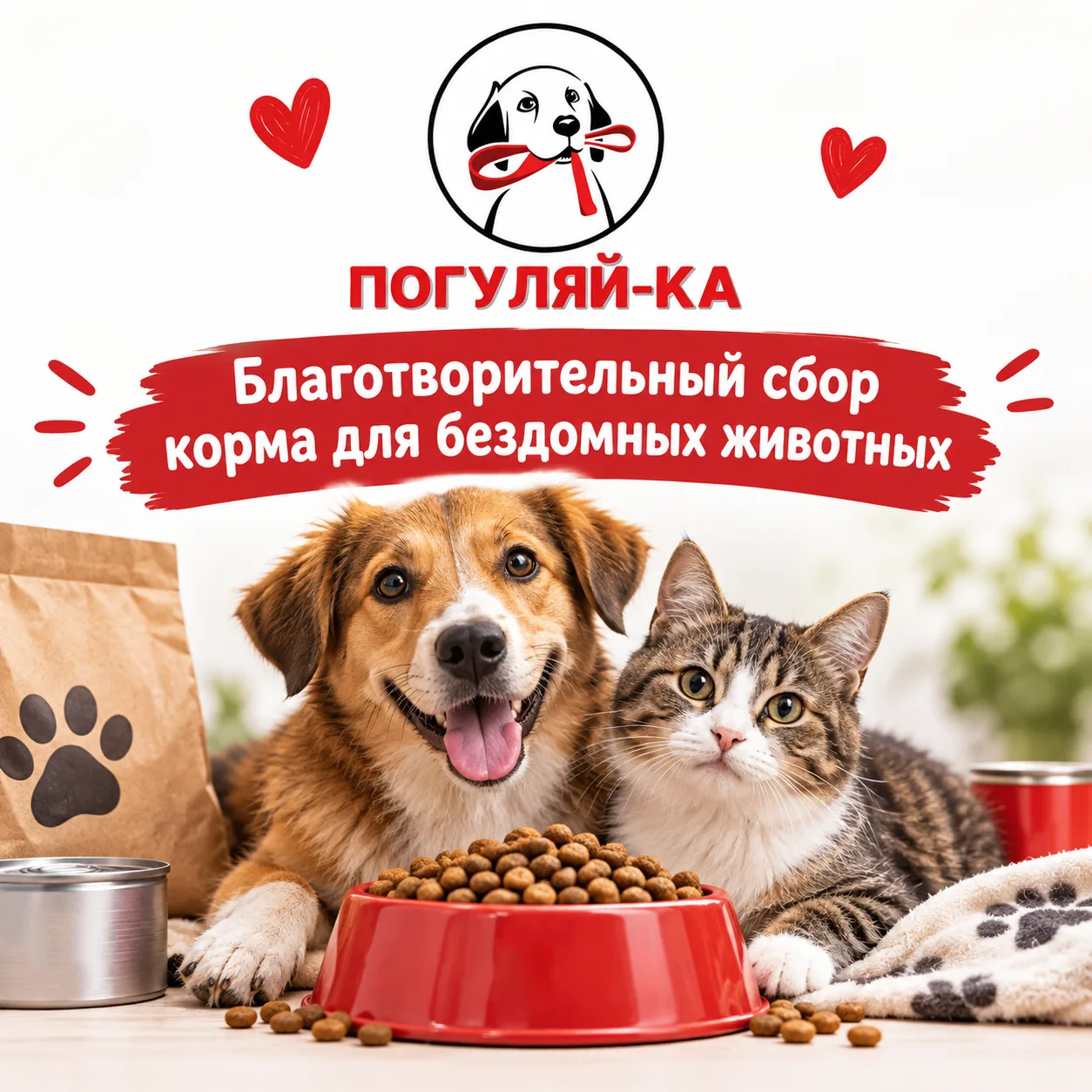 🐾 «Погуляй-ка» — поможем тем, кто не может попросить о помощи! ❤️С 1 по 31 октября в Х...