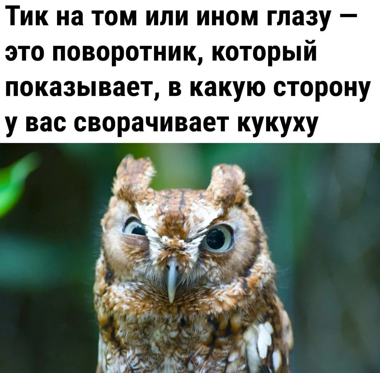 Так вот оно что! 🤣