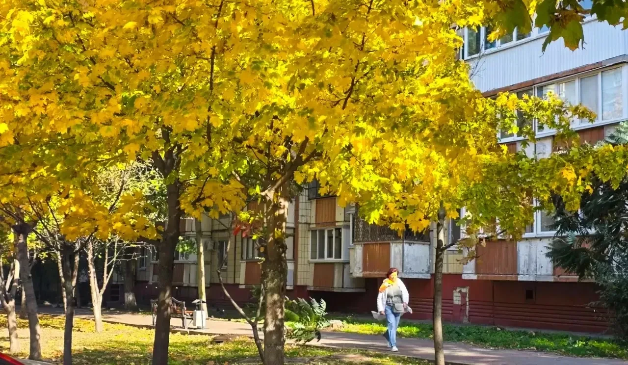 Осеннее настроение Белгорода 🍁