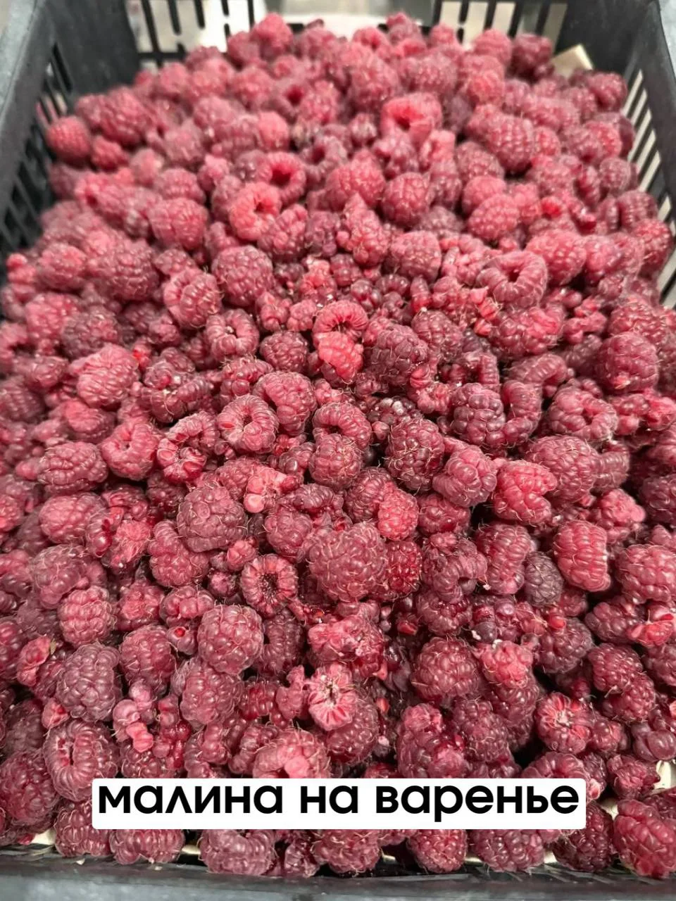 🍓 ЧТО ЕЩЁ МОЖНО ЗАБРАТЬ СЕГОДНЯ?