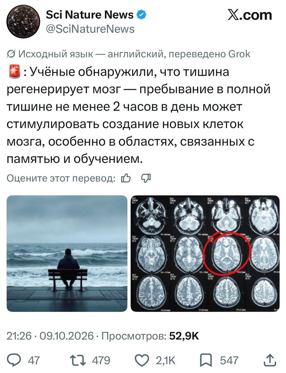 Тишина регенерирует мозг — пребывание в полной тишине не менее 2 часов в день стимулиру...