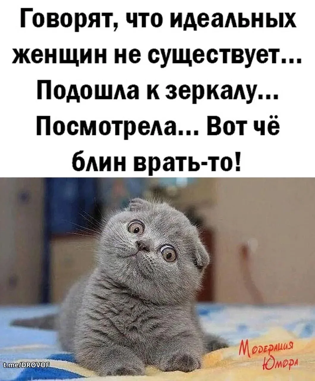 Доброе прекрасное утро😉