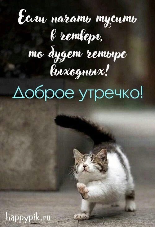 С ДОБРЫМ УТРОМ!