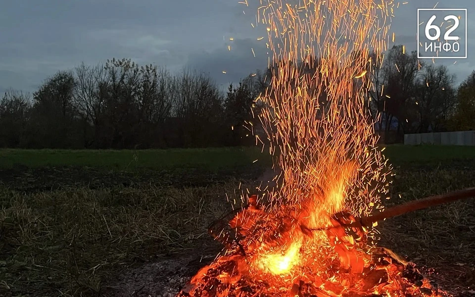 🌾 Залог будущего урожая!