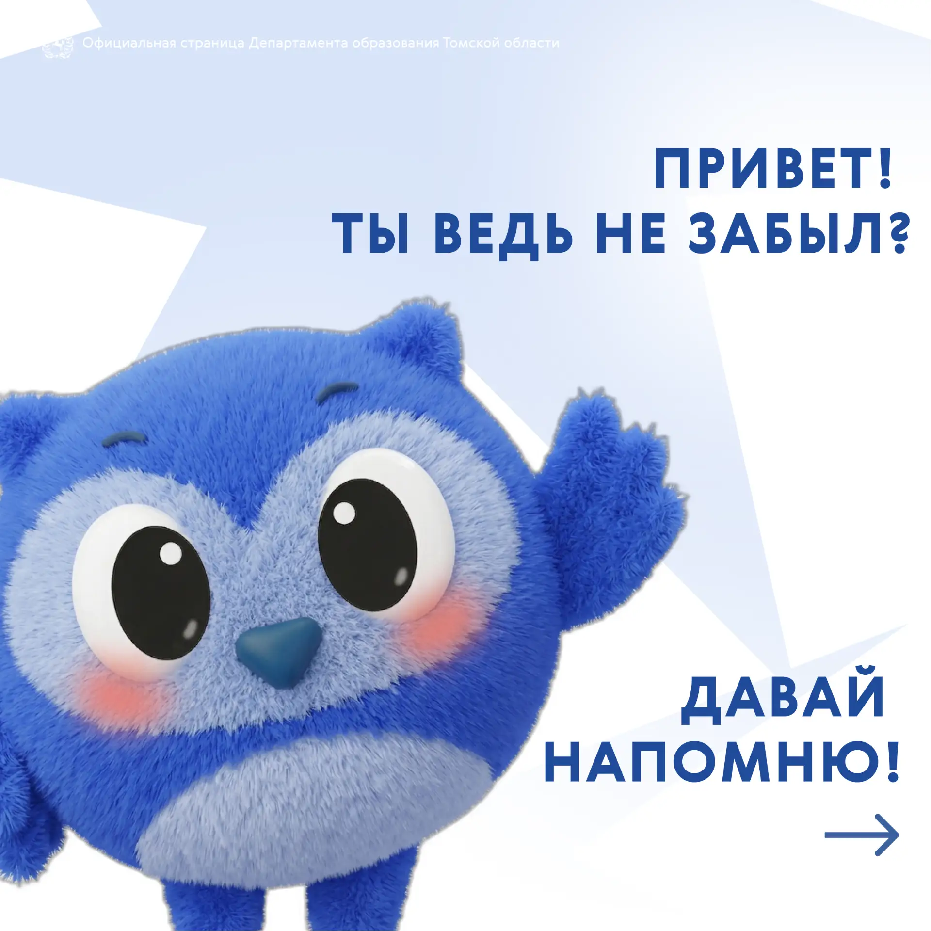 🛍 Свежее, качественное, своё — ярмарка СПО!