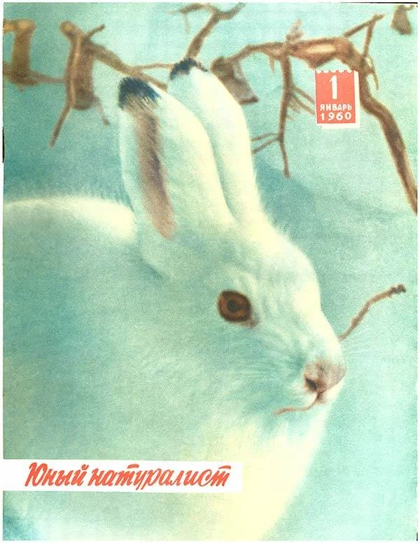 Юный натуралист №1 1960