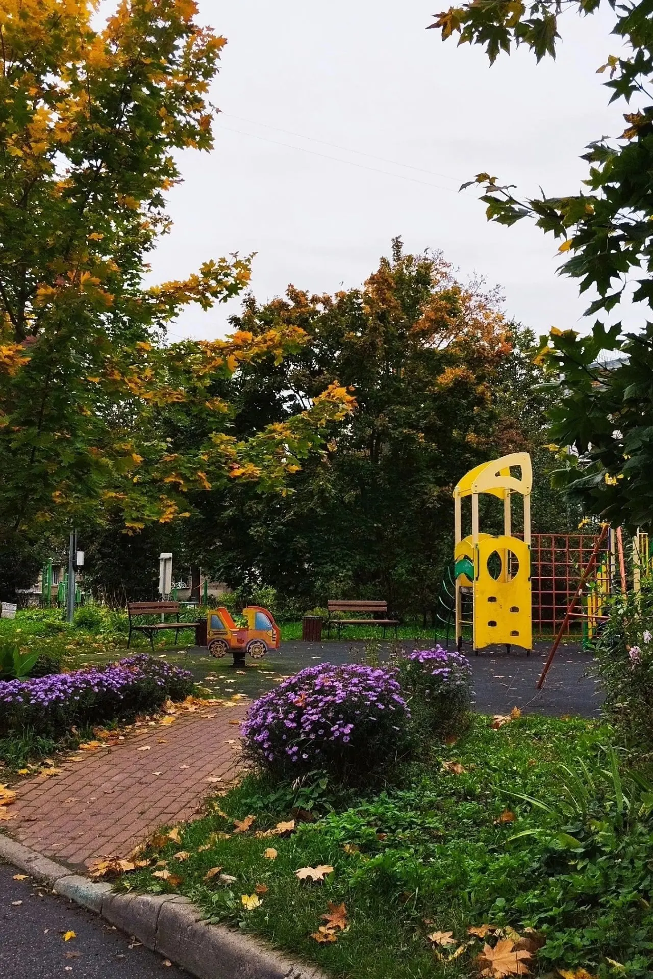 ДОБРОЕ УТРО, СТРЕЛЬНА!