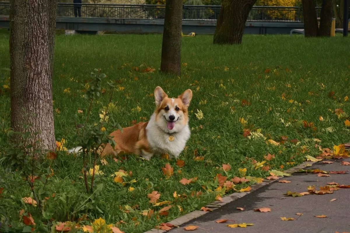 🌻 Новый день — новые возможности