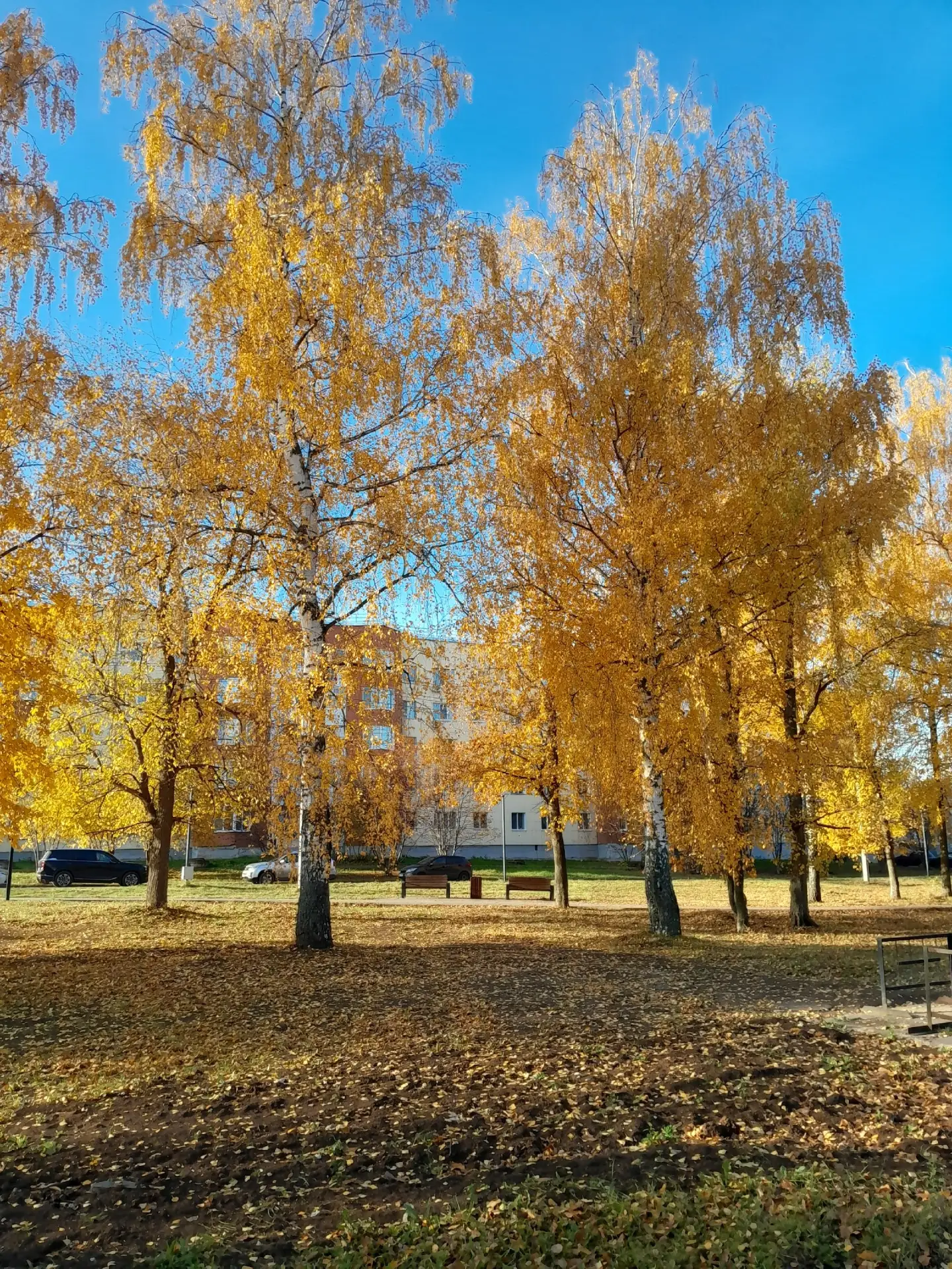 Золотая осень.