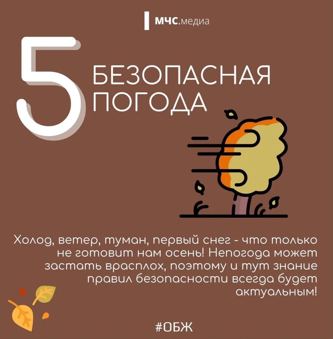 5 осенних рисков: МЧС напоминает о безопасности! 🍁
