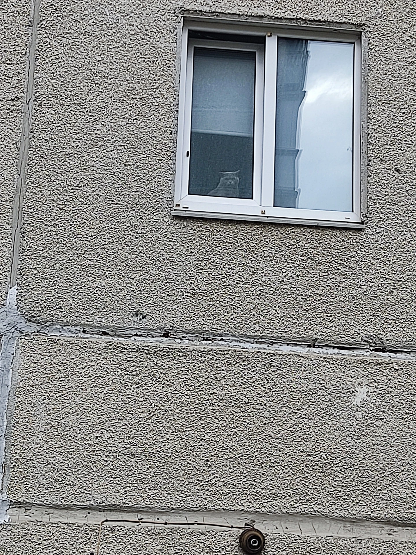 📸 Фото дня