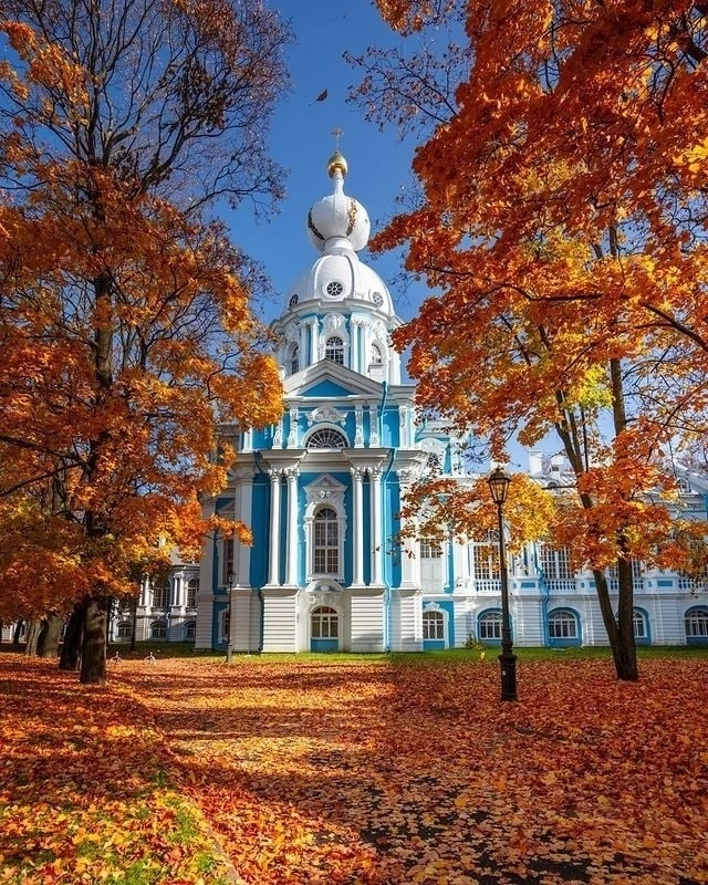 Мозаика осенних красок в антураже Смольного собора. 🍁🍂 Феерия света и цвета, расцвет ...