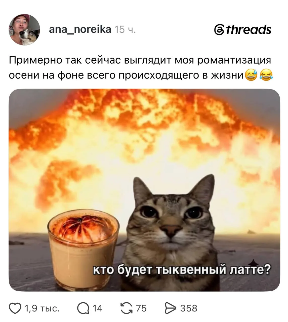 И вишневый пирог для не забываем. 😭