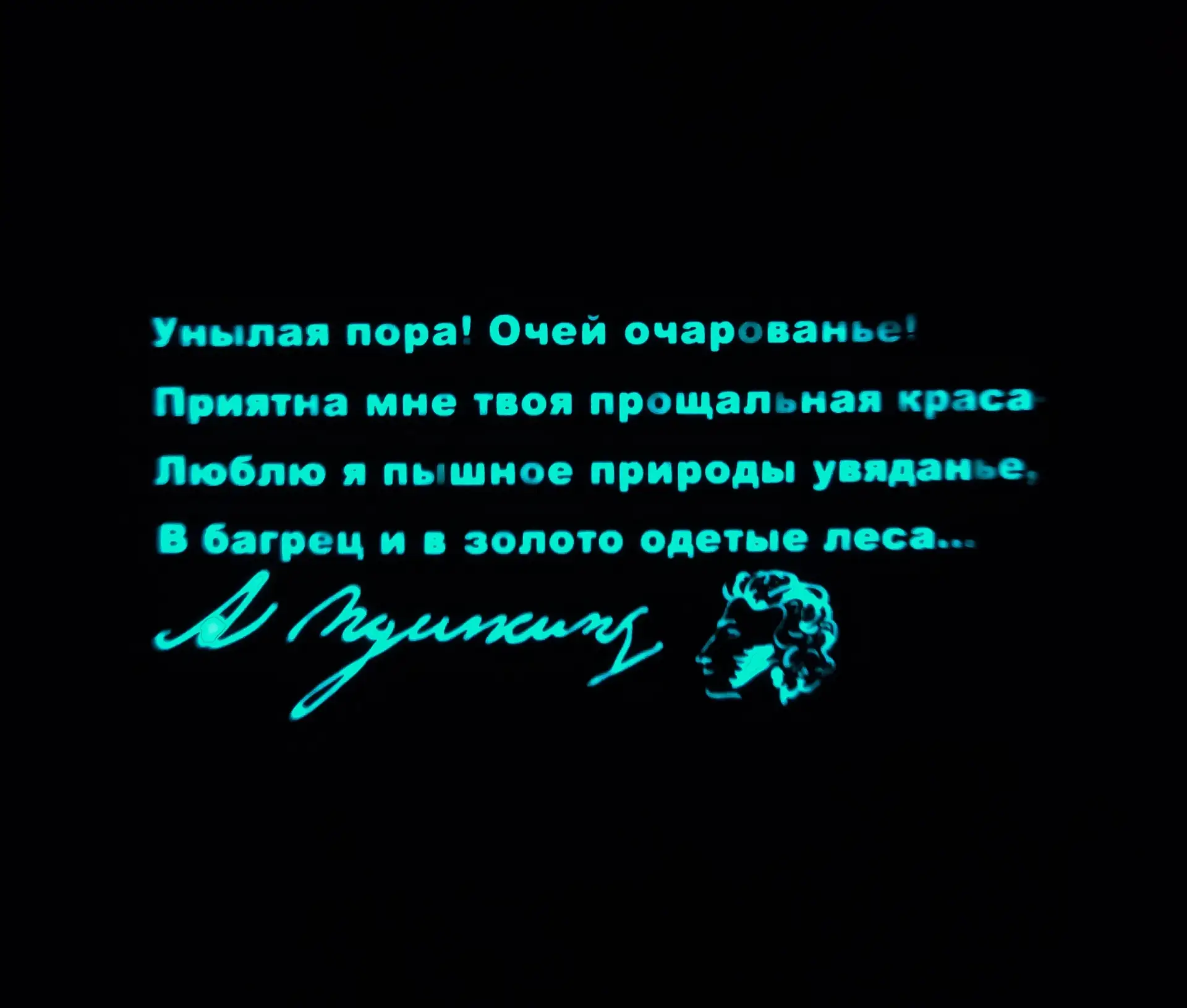 Ну и немного подробней опишем лот⬆️