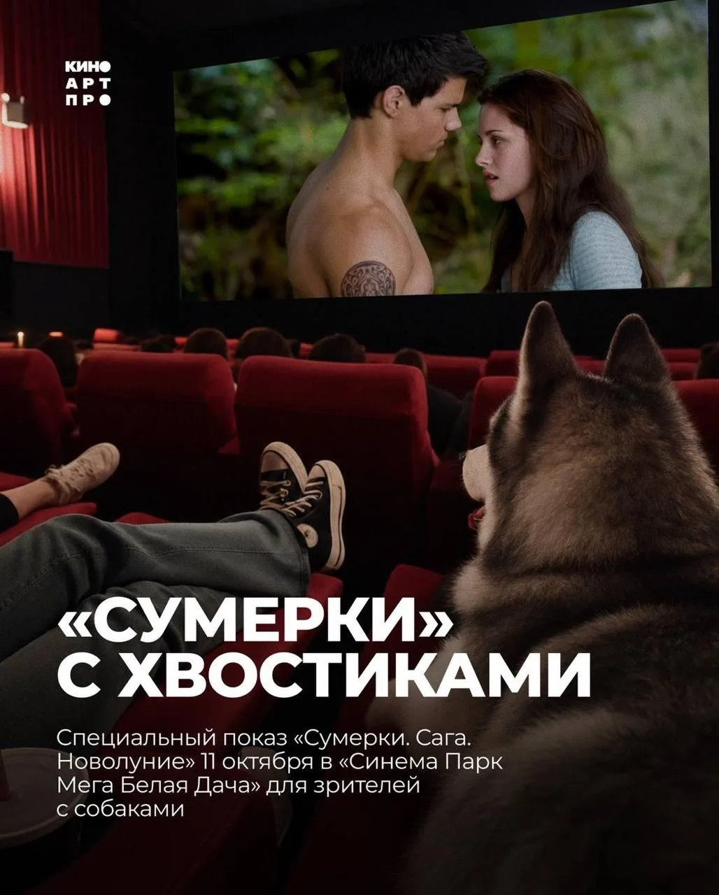Офигеть, на «Сумерки» теперь можно сходить вместе со своим пёселем🤯