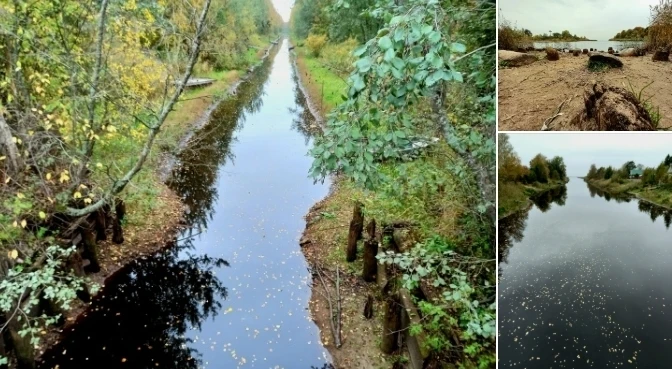 Южный берег Ладоги. Кобона.