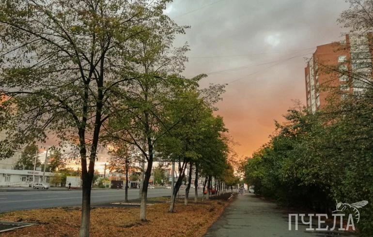 ⚠️ В Челябинской области с 19:00 13 октября до 19:00 14 октября ожидаются неблагоприятн...