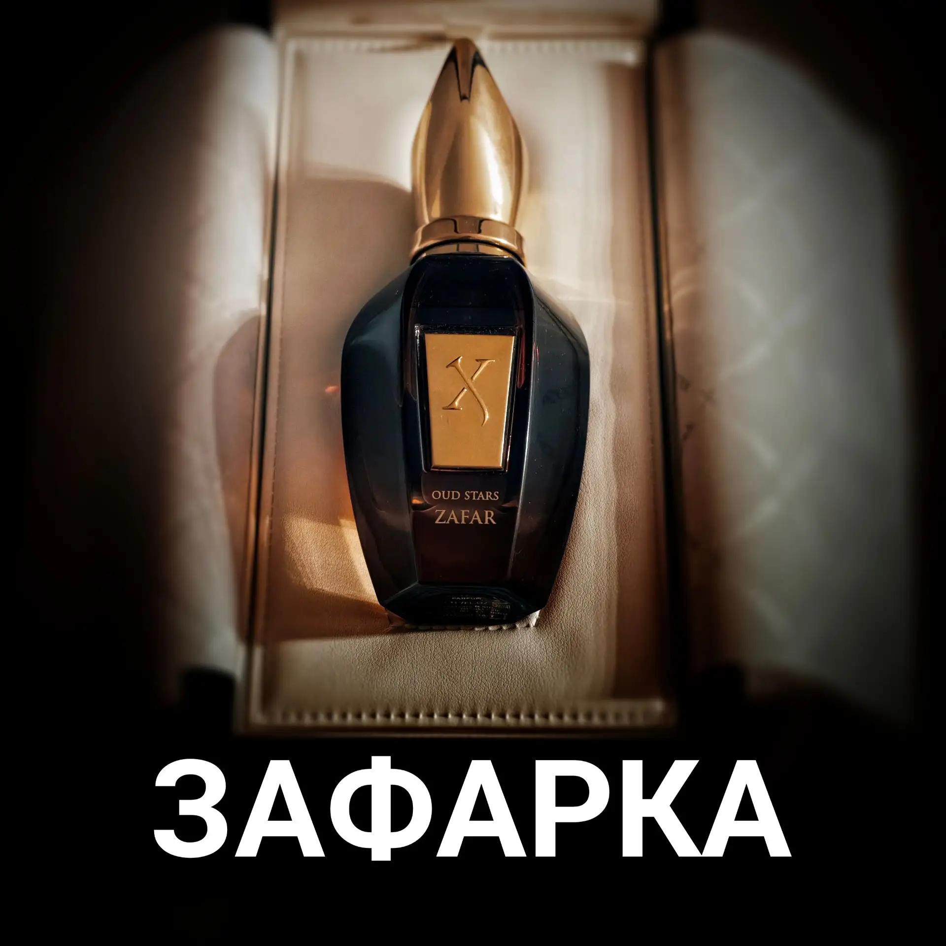 АроматДня Xerjoff Zafar