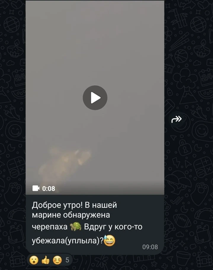 Когда я была маленькая, то мечтала, что вырасту и перееду жить на экзотический остров.