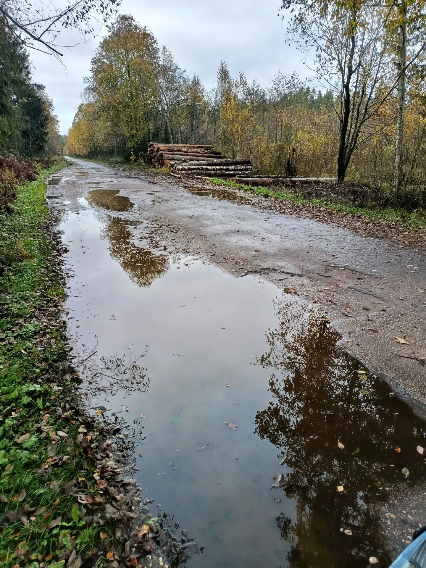 Доброго времени, вот такое безобразие происходит по дороге в деревню Бараново... Мало т...