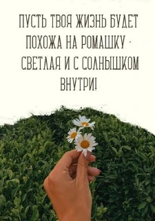 #пожелание