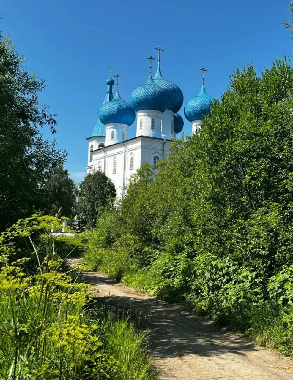 🕊 Надо чаще призывать имя Божие, ставить себя пред Богом и просить терпения, когда ста...