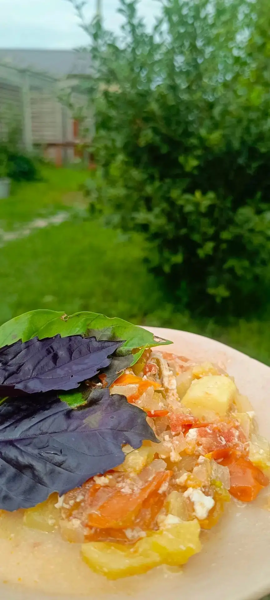 Время тушеных овощей с грядки 💚
