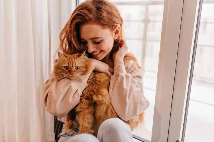 🐱 Может ли человек с гриппом заразить свою кошку?