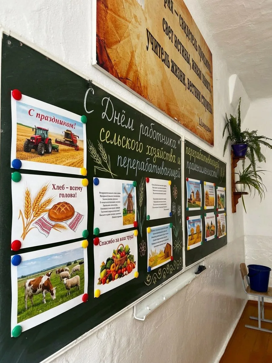 🌾🚜  День работников сельского хозяйства и перерабатывающей промышленности! 🌻