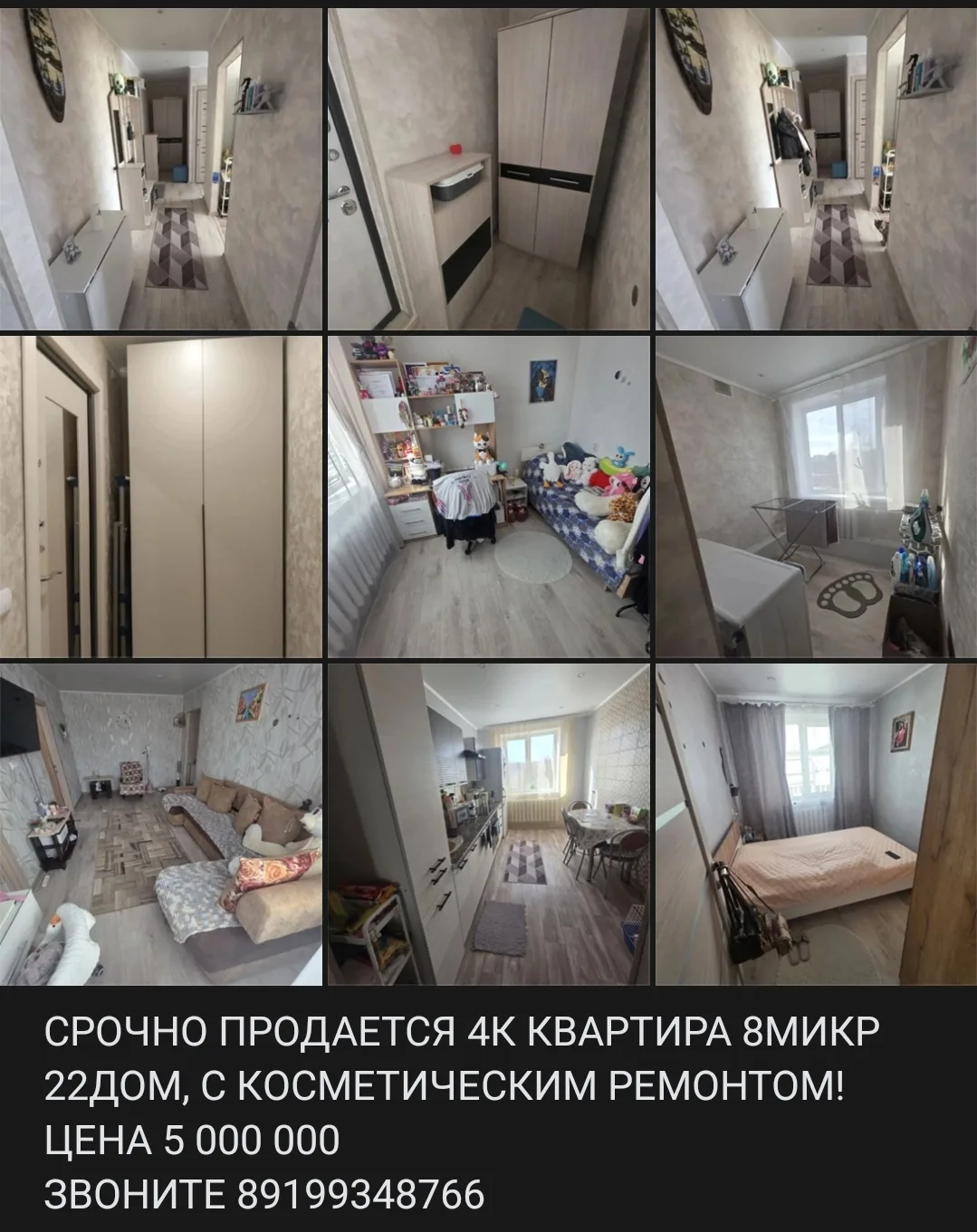 ☎ 89224743703