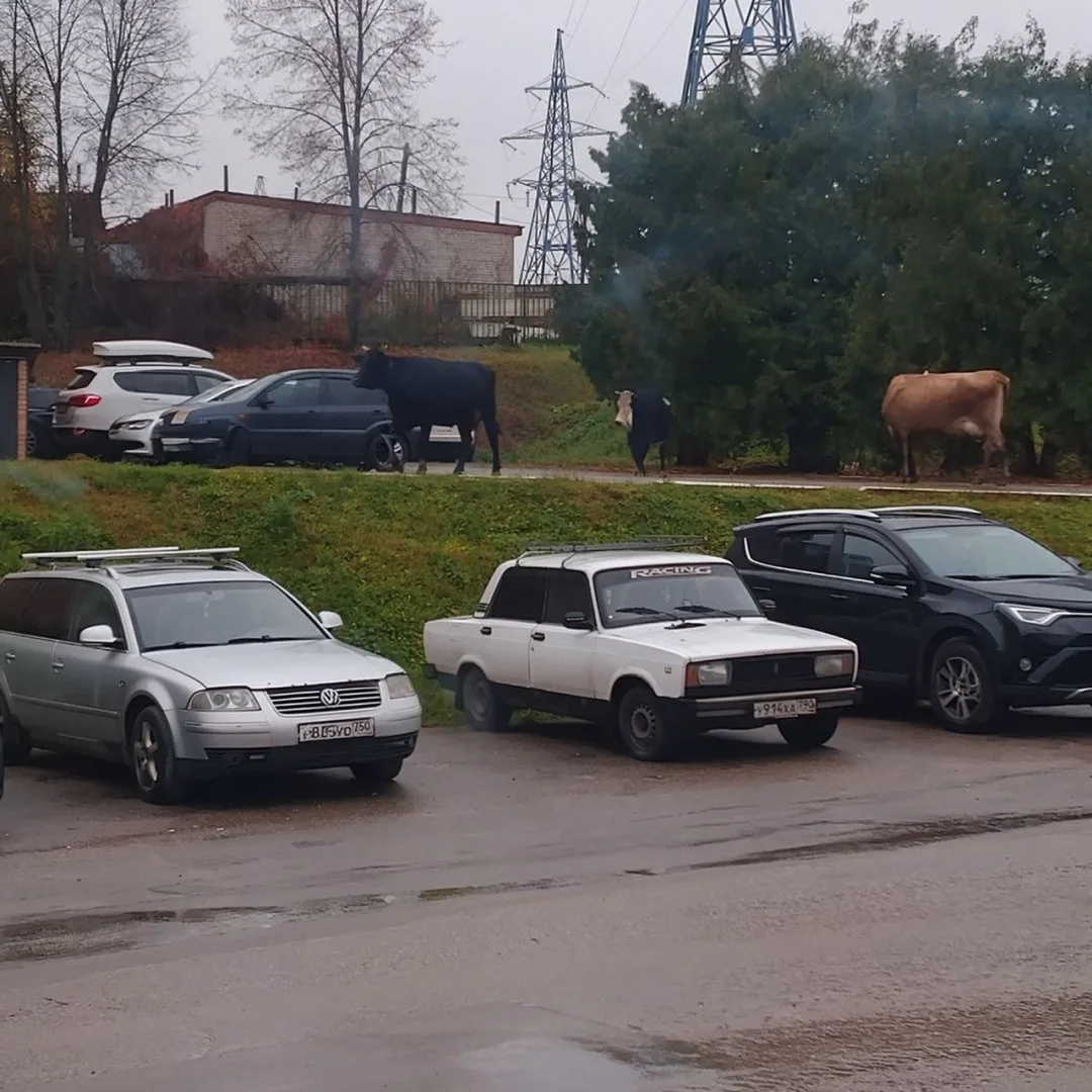 У кого молоко убежало?