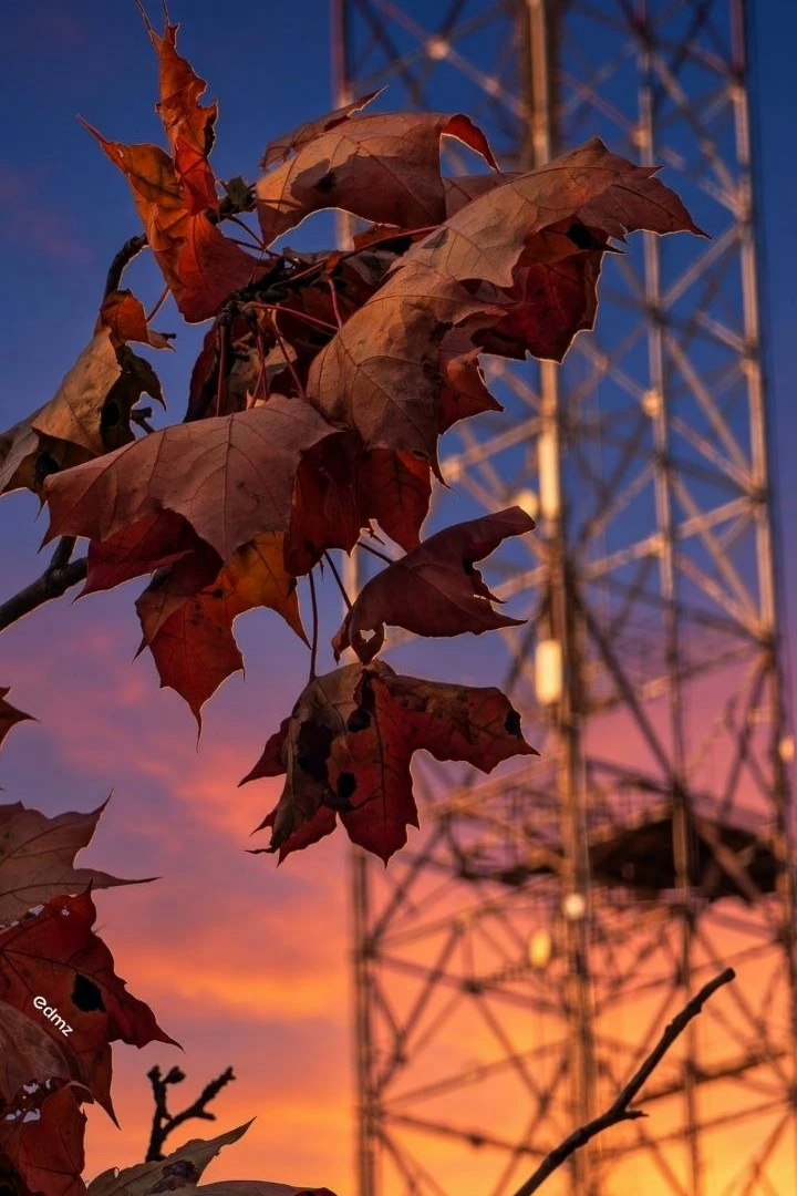 Осень 🍁