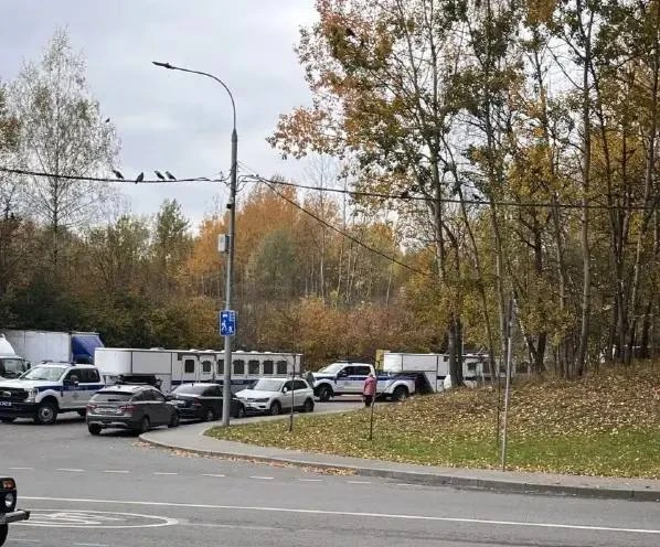 🐴 На службу в Битцу лошадей привозят отдельно