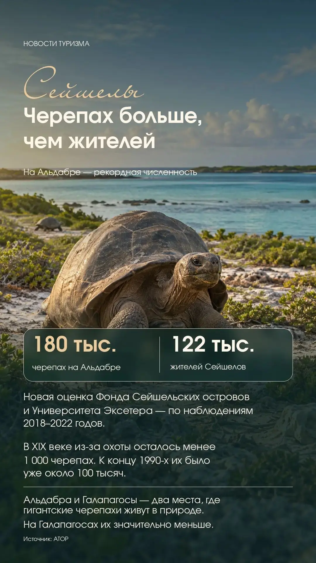 🐢 На Сейшелах насчитали 180 тысяч гигантских черепах — больше, чем жителей страны