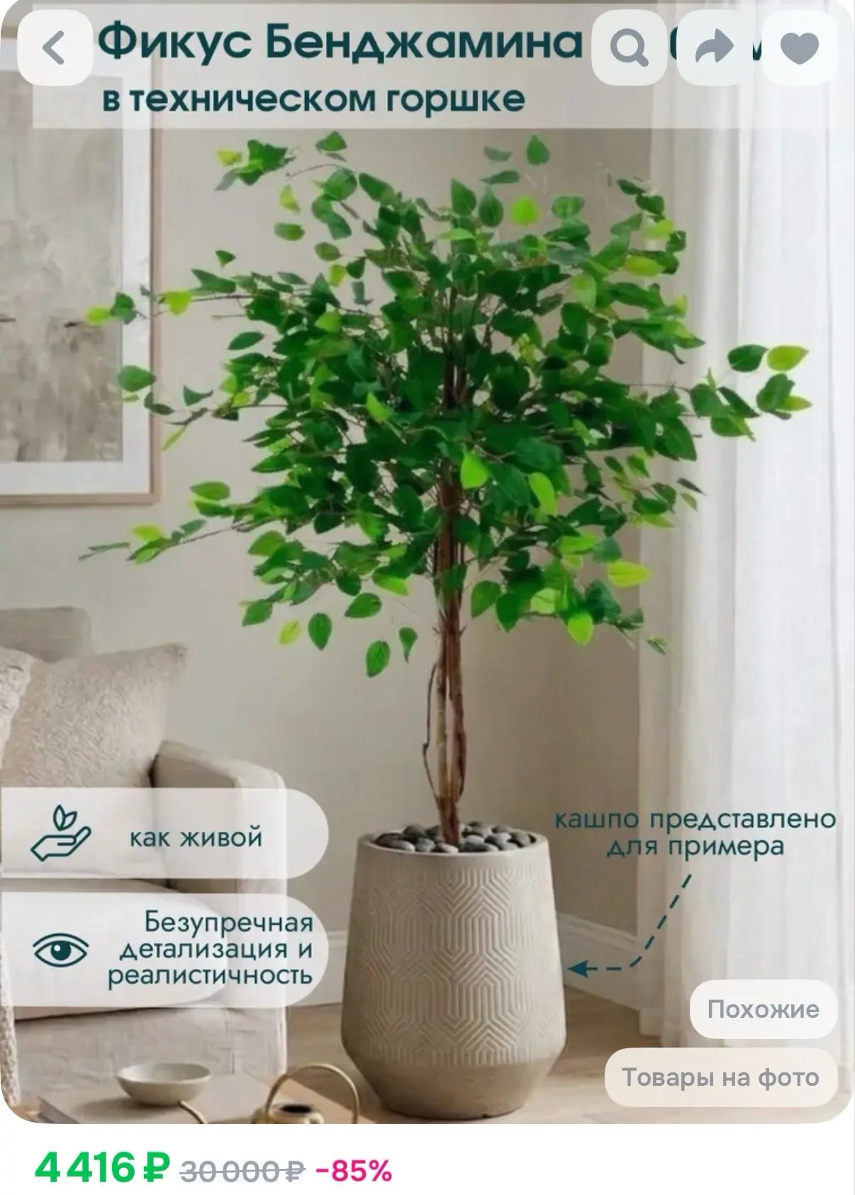 Декоративное  дерево Фикус Бенджамина 130 см